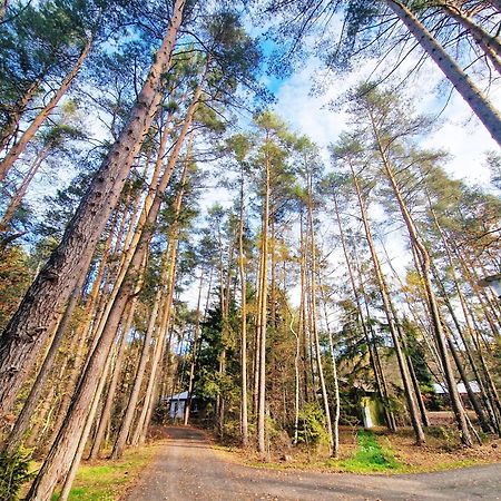Bungalow Direkt Am See, Mit Eigenem Boot 罗丁 外观 照片